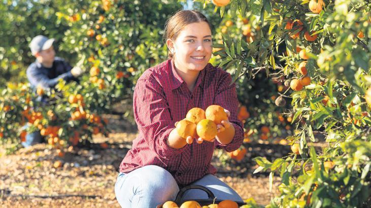 Tarımda Genç ve Kadın Destekleri: 2026 İçin Yeni Ödemeler ve Üretici Profili