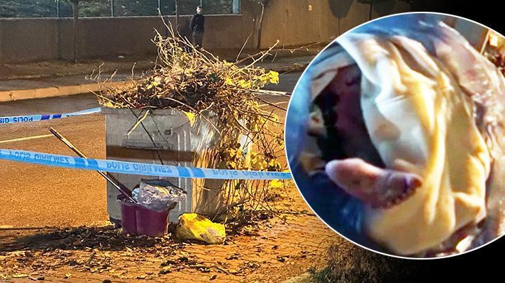 Kastamonu’da Bebek Vakası: Anne Hakkında Sorgulamalar ve Maluliyet Değerlendirmesi