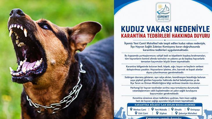 Edremit’te Kuduz Tespit Edildi: Karantina Bölgesinde Hayvanlar İçin Yeni Uygulamalar