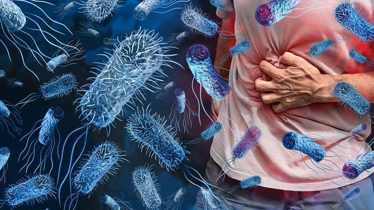 Yaz Sıcaklarında Gıda Zehirlenmesine Karşı Akılcı Önlemler ve İlk Müdahale