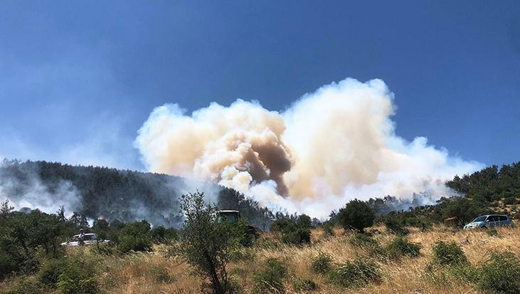 Balıkesir ve Çevresinde Orman Yangınları: Altıeylül ve Cunda Adası’nda Müdahaleler Sürüyor
