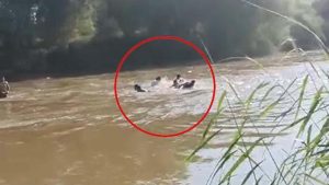 Büyük Menderes Nehri’nde Ağaçlar ve Arama Kurtarma Ekipleriyle Yaşanan Olayın Gözünden Anlatı