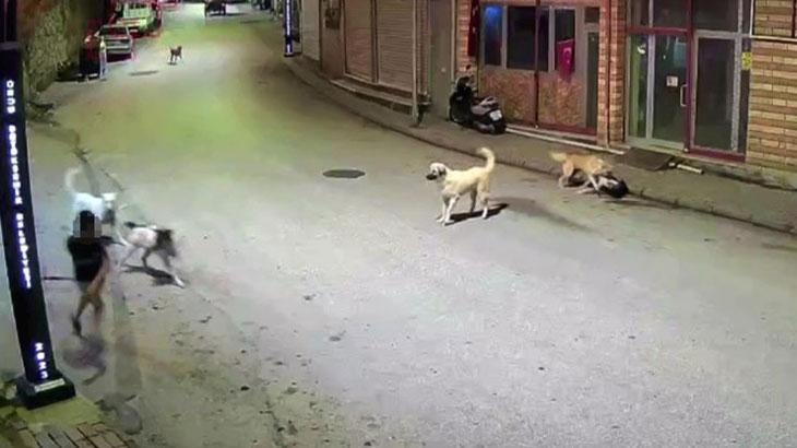 Çocuk Köpek Saldırısından Kaçış Anı: Güvenlik Kameralarına Yansıyan Bireysel Müdahale
