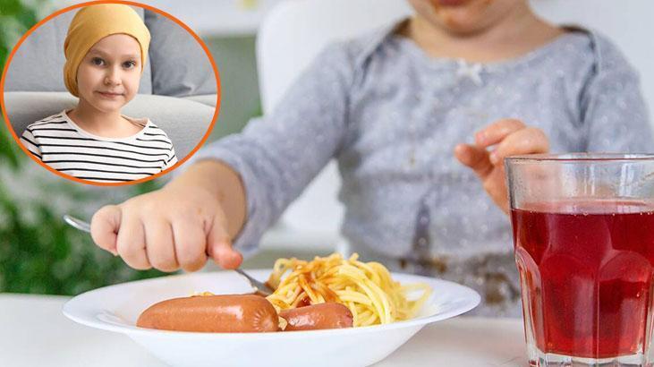 İşlenmiş Et Ürünleri ve Çocuk Sağlığı: Lösemi Riski Üzerine Güncel Perspektifler