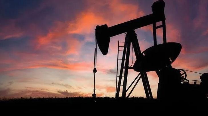 Petrol Fiyatları ve Jeopolitik Gelişmeler: Piyasalarda Düşüş Eğilimi