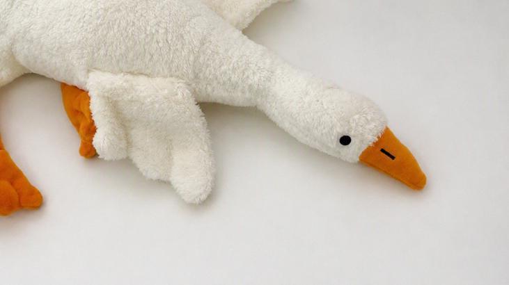 Piyasadan Toplatılan Peluş Oyuncağa İlişkin Resmi Uyarı ve Güvenlik Notu