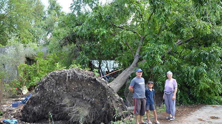 Seralarda Hortum Felaketi ve Köyde Yaşanan Zararlar: Çiftçiler Yardımlaşmada Birlik Gösterdi
