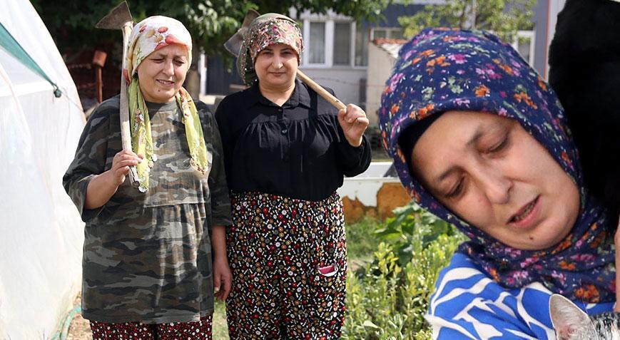 Kedilere Adanan Hayat: İstanbul’dan Kastamonu’ya Uzanan Fedakarlık Hikayesi