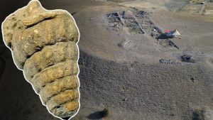 Külhöyük’te Tetis Denizi’nden Gelen Gastropoda Fosili: 66 milyon yıllık İzler