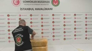 İstanbul Havalimanı’nda 25,5 Kilogram Esrar Operasyonu: Yolcunun Uyruk ve Bağlantıları İnceleniyor